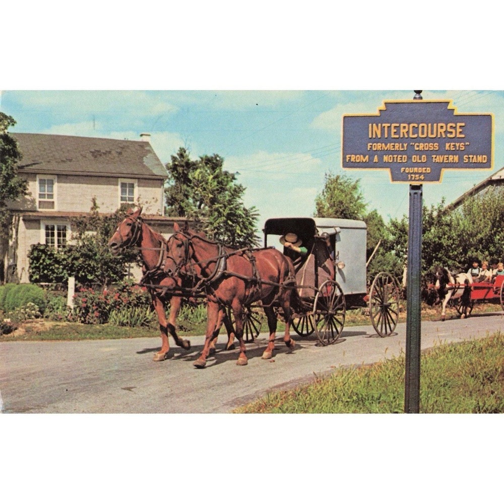 Vintage Amish Country Intercourse PA Horse Buggy Postcard by James E. Hess